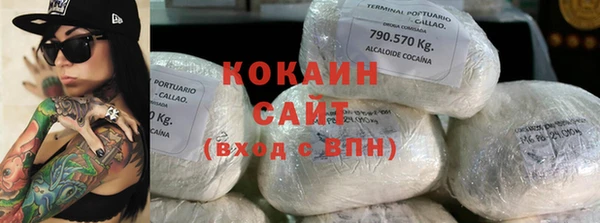 стафф Арсеньев