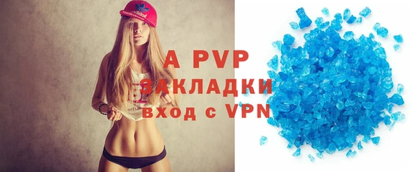 стафф Арсеньев