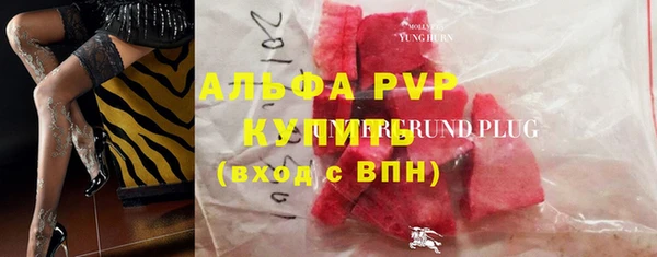 тгк Богданович