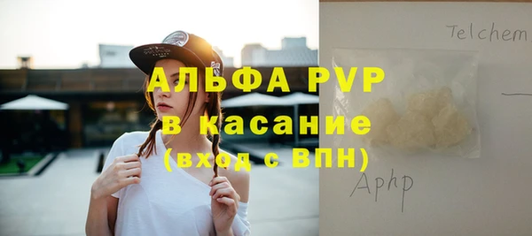 стафф Арсеньев