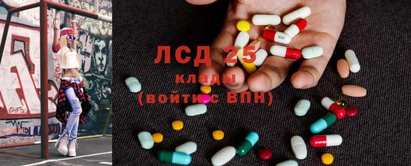 стафф Арсеньев