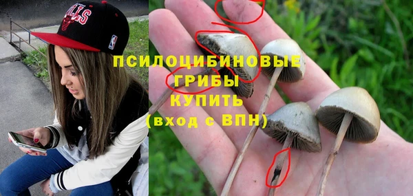 хмурый Армянск