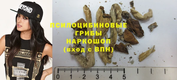 хмурый Армянск