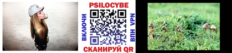 цены Бийск Галлюциногенные грибы мухоморы